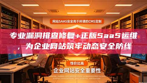 专业漏洞排查修复+正版SaaS运维，为企业网站筑牢动态安全防线